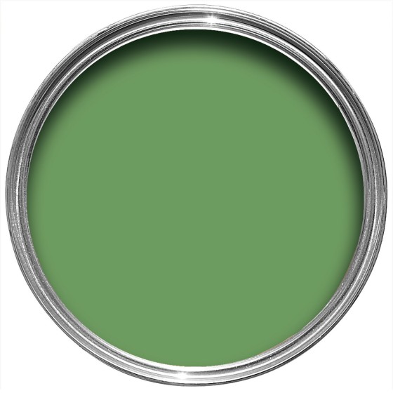 Farrow & Ball Paint 2.5l All New Dead Flat Raw Tomatillo No. CB6